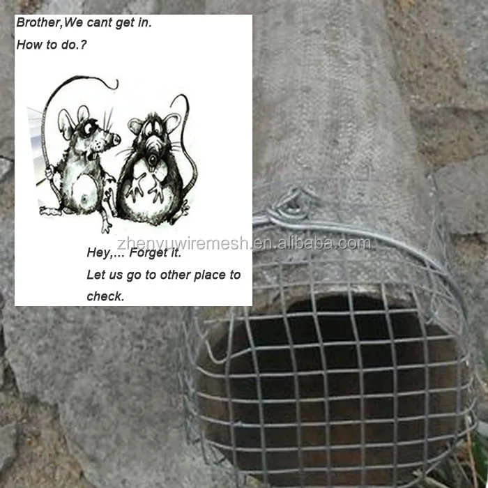 40 Mesh 1/4 Inch Square Hole Galvanized Steel Wire Welded Wire Mesh For Mice Rat Proof Mesh