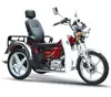 /product-detail/disabled-tricycle-handicapped-tricycle-305615477.html