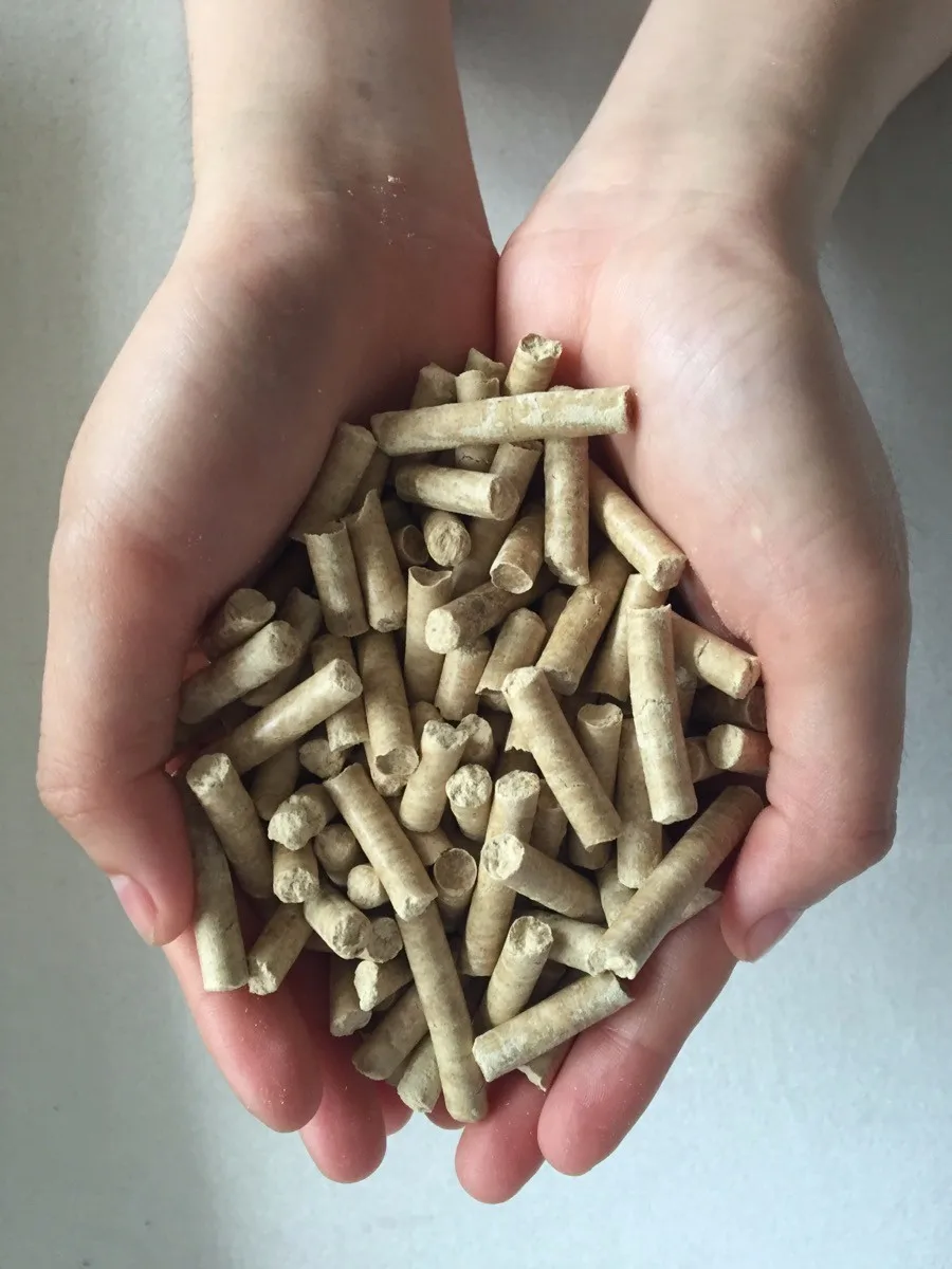 Viet Nam Pine Wood Pellet High Quality 100 Natural Buy Wood Pellet