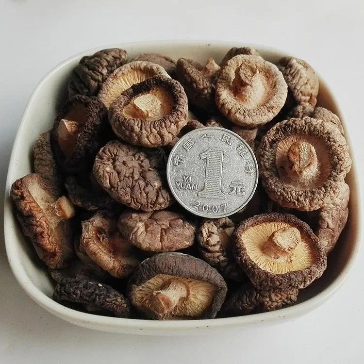 Shiitake Mushroom/champignon Mushrooms Buy China Shiitake Mushroom
