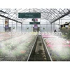 /product-detail/top-sale-0-3l-60bar-misting-machine-water-misting-pump-greenhouse-cooling-misting-system-60503597046.html