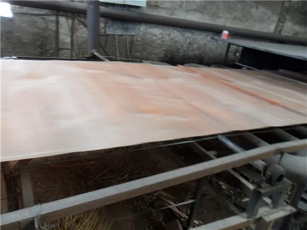 0.3mm oak wood veneer/0.3mm oak wood veneer for floor/0.3mm oak wood veneer for furniture