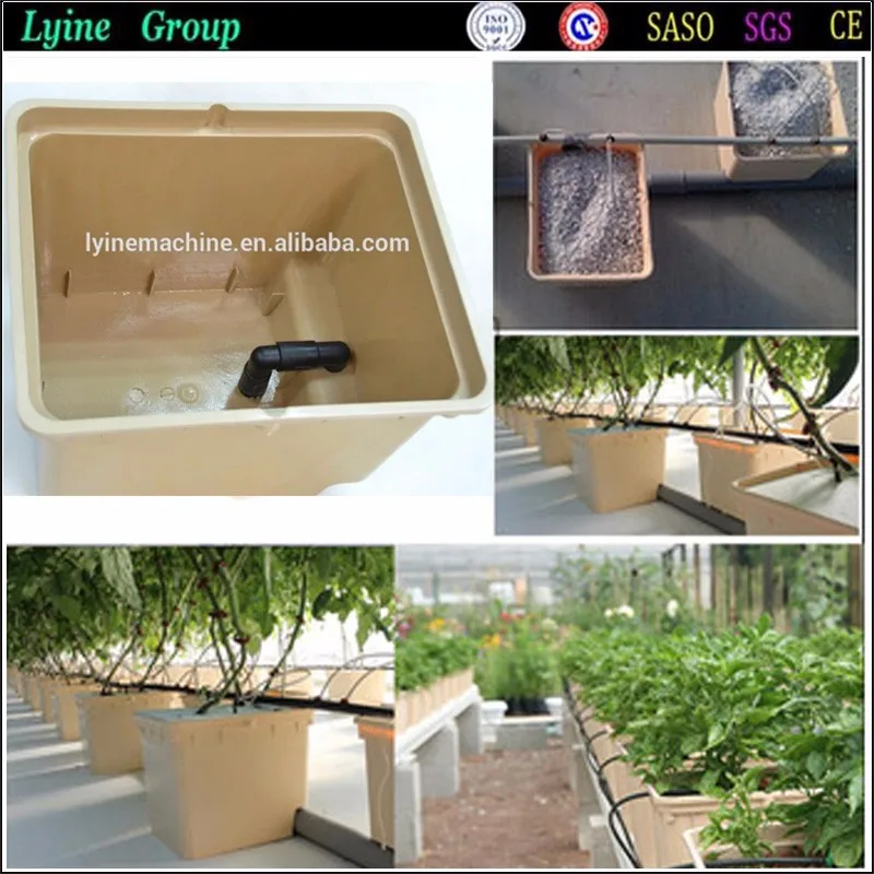 Deep Water Culture dutch bucket hydroponics growing systems (13).jpg