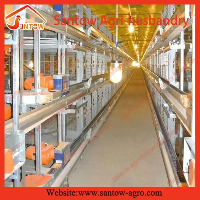 H type 5 tier chicken cage poultry cages chicken layer cage for kenya poultry farm