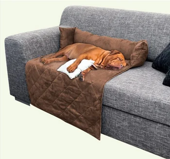 puppy sofa