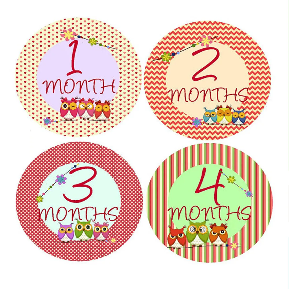 Asudaro Autocollants mensuels pour bébés pour garçons et Filles 12 Motifs de Jalons Cartes Photo mensuelles pour Les 12 Premiers Mois de la Vie Autocollants de Jalons en Anglais