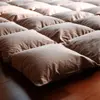 400TC 100% Cotton Goose down bed comforter feather comforter quit