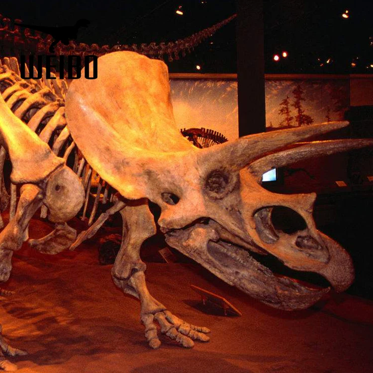 life size dinosaur skull replicas for sale