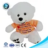 Wholesale Fashion brand logo custom stuffed soft toy plush teddy