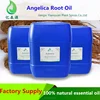 Medical Grade 100% Pure And Natural Angelica Root Oil Angelica Oil Bulk Factory Price