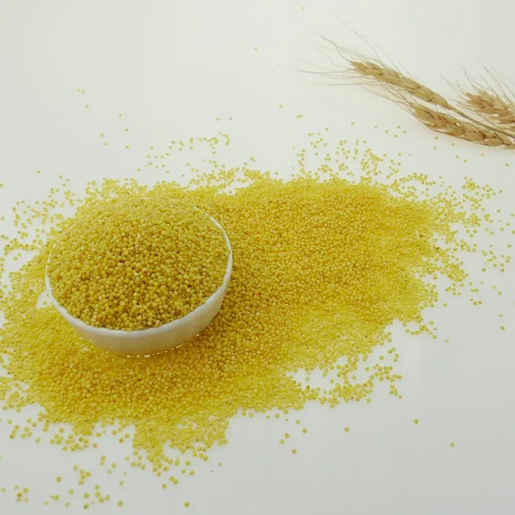 Glutinous Hulled Yellow Broomcorn Millet Sticky Millet For Rice Cake