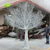 /product-detail/wtr1103-gnw-10ft-high-white-artificial-dry-tree-for-fashion-runway-decoration-60337585844.html