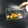 Clear Acrylic Display Box Case with Angled Top & Hinged Lid