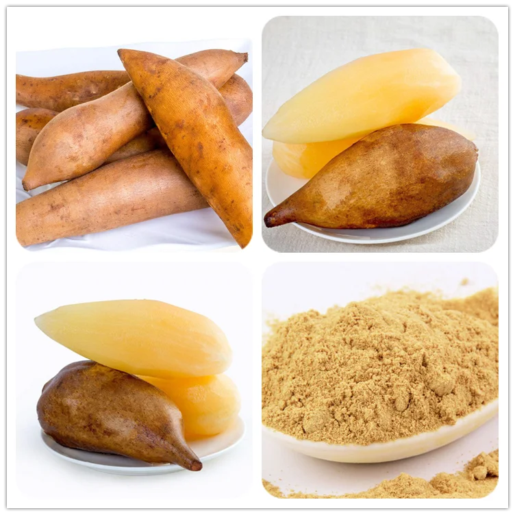 Smallanthus Sonchifolius Root Shirley Fruit Extract Yacon