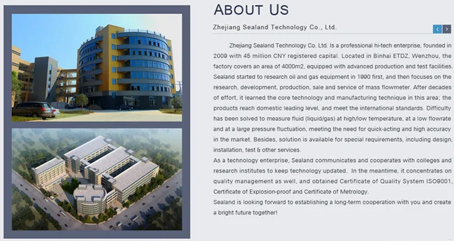 Sealand mass flowmeter.png