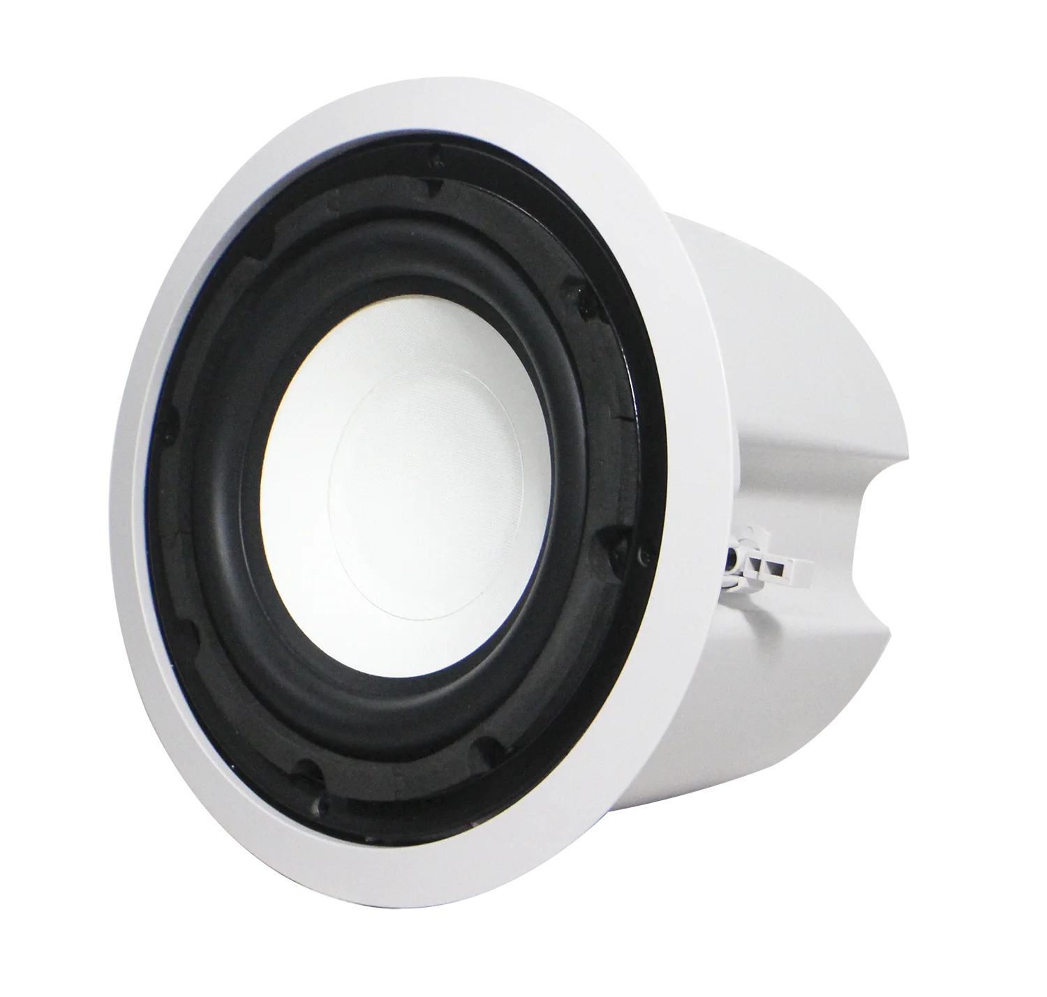 ceiling mounted subwoofer