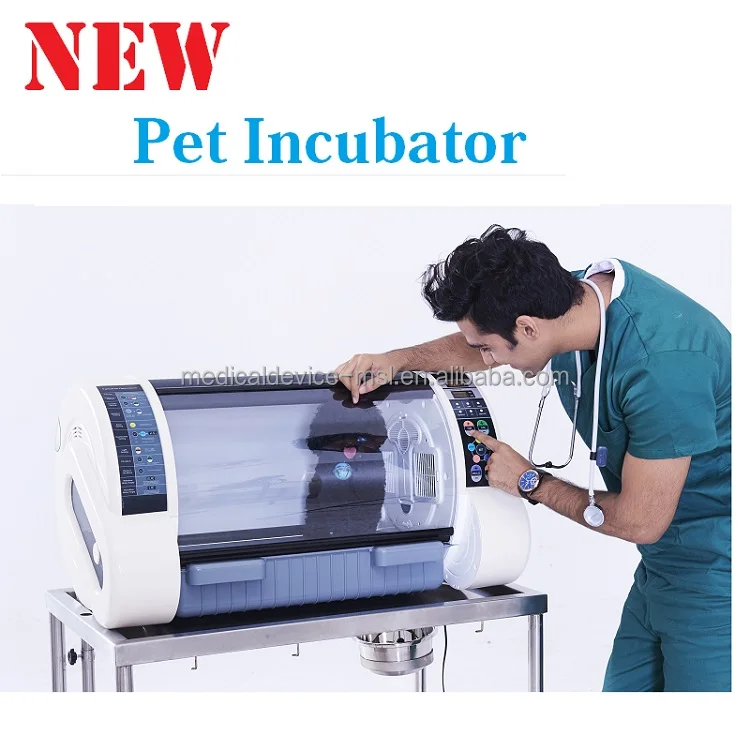 building incubator for puppies