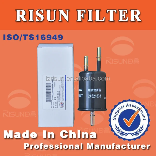 Universal Fuel Filter 24521833 For Automobile Cng/lpg Fuel Injector