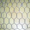 Hexagonal wire chicken iron nettings