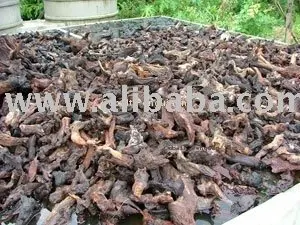 malaysian driftwood buy malaysian