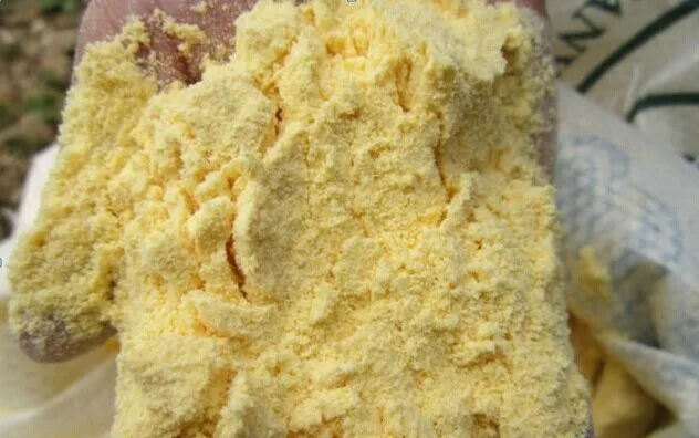 Grits and Flour that produced by small corn grits machine1.jpg