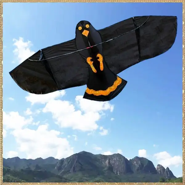 Chinese kites
