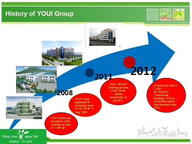 History of YOUI Group