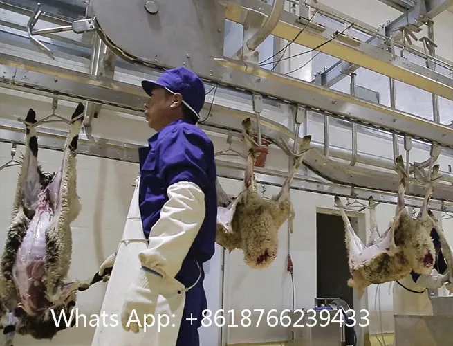 New Abattoir Sheep Slaughterhouse Equipment With Lamb Slaughter Sewage Waste Water Treatment