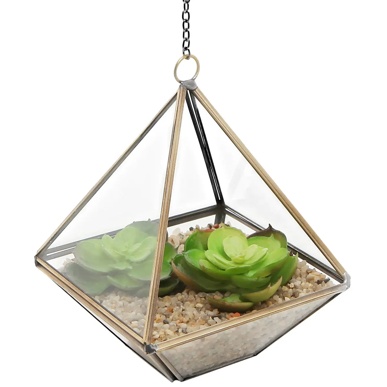 Cheap Led Terrarium Light, find Led Terrarium Light deals on line at
