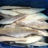 hake fish, frozen hake fillets, hake fillet I.Q.F. merluza merlucius gayi