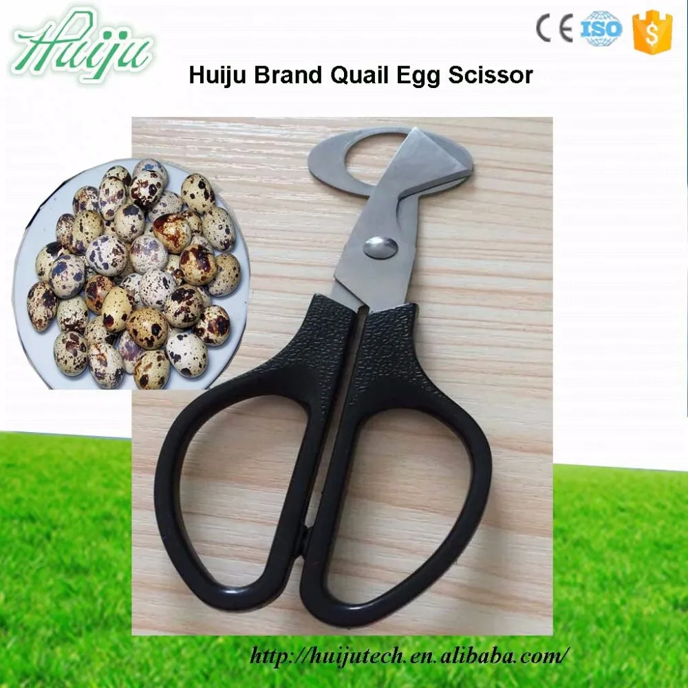 Promotion For Quail Egg Scissors Hjdn012 In April Buy Quail Egg