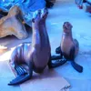 sea lion model