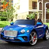top electric cars with remote control / blue full electric cars with open car / mini electric car wholesale