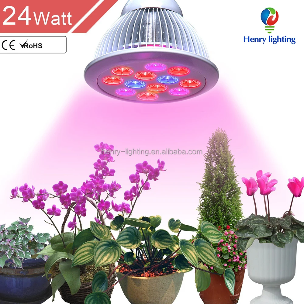 12W/24W E27 par38 Hydroponic LED Plant Grow Lights Growing Lamp for Garden Greenhouse