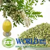 Hot sales plant extract Sophora Japonica extract/Quercetin 95%/Treat gout Free sample