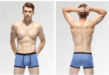 free sheer mens underwear