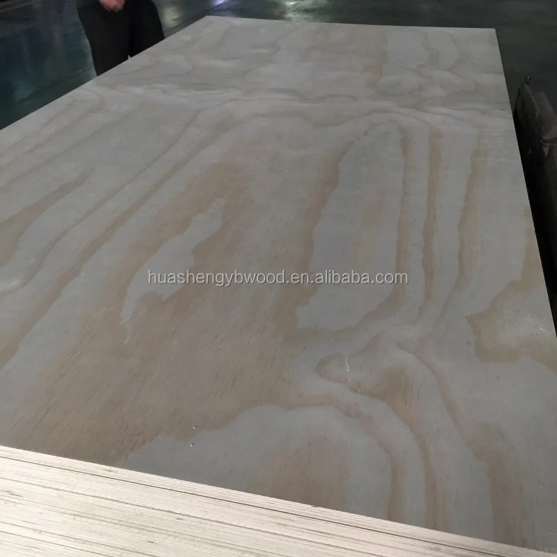 radiata pine plywood.JPG