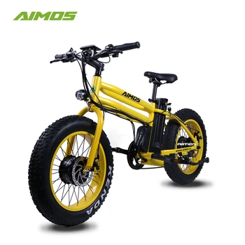 dual motor electric bike