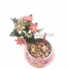 Top Grade Pet Cuisine Pet Bowl Stainless Steel Dish Feeder Drinking