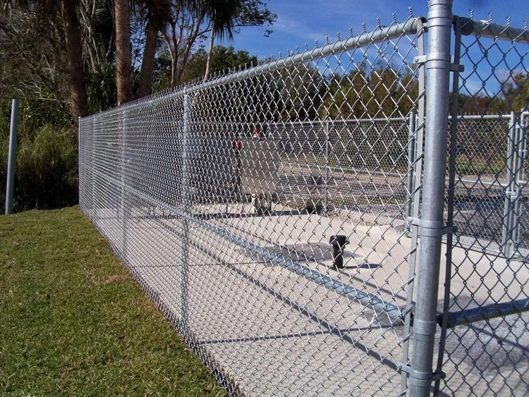 2016 hot sale product galvanized chain link fence for zoo / chainlink wire fence