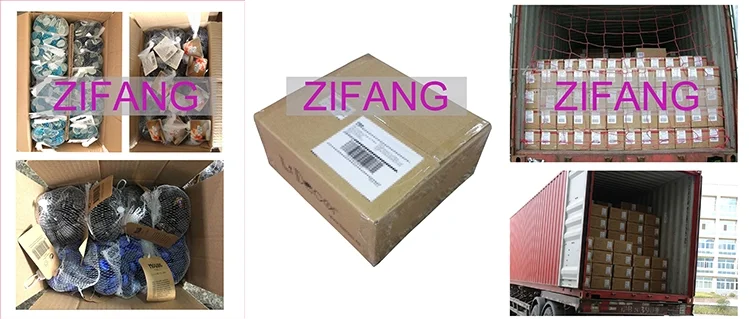 paste-pic-dp_uuid_sqeg3