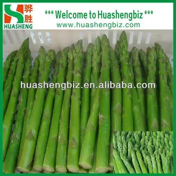 Iqf Frozen Asparagus Spear Green Color Iqf Frozen Asparagus Spear Green Color