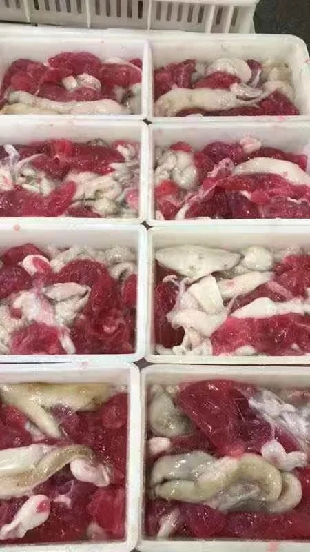 Indian squid roe (1).jpg