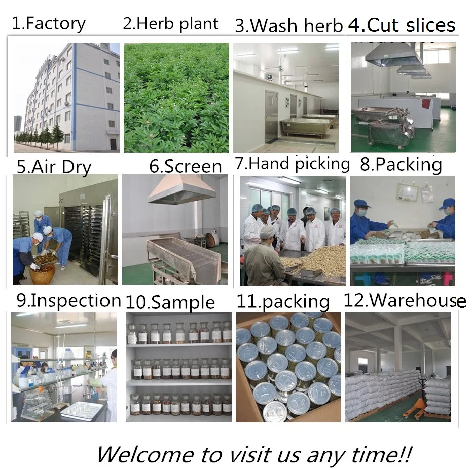 our factory.jpg