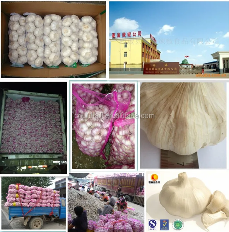 Solaraiche Factaraidh Bàrr Ùr Garlic Geal Geal is Pure àbhaisteach airson Indonesia, Malaysia, Thailand bho China Factory