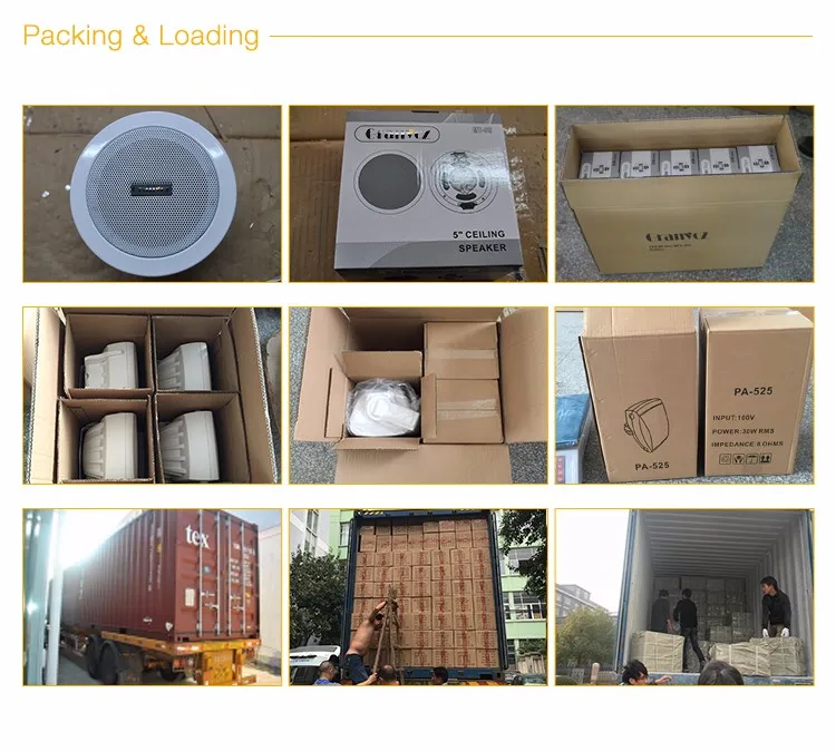 TSA-65 IP public address system active network wall speaker - ANKUX.COM