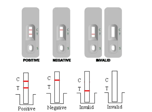 High Accuracy Professional Group A Streptococcal Antigen Rapid Test Kit with CE