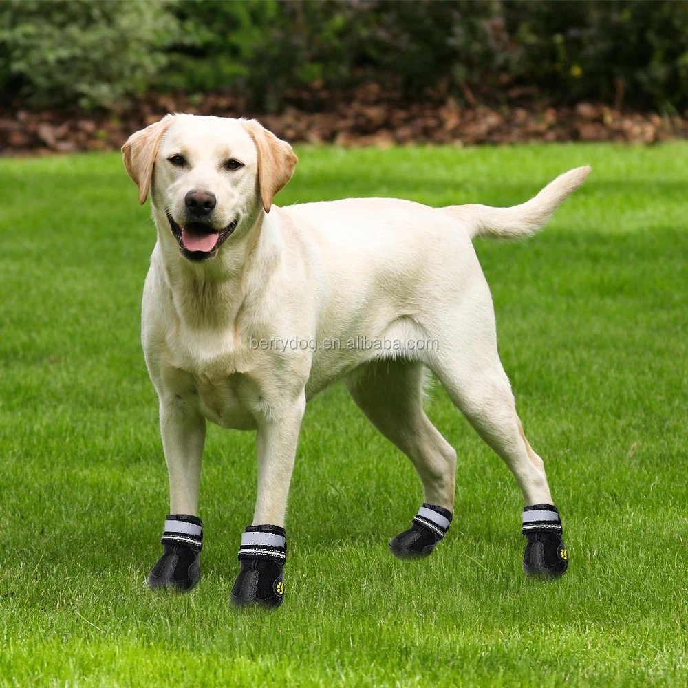 反光防滑可调防水冬季狗鞋