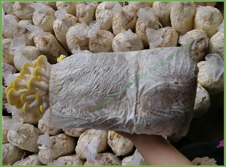 Best Price Custom Logo Printed Mushroom Spawn Glowing Bag Buy 
