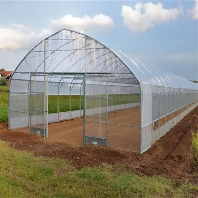Skyplant Low Cost Agriculture Greenhouse Film Greenhouse Plastic 200